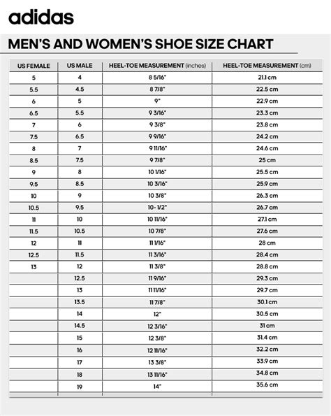 adidas ozweego kids size chart